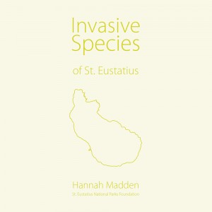 Invasive-Species-of-Sint-Eustatius