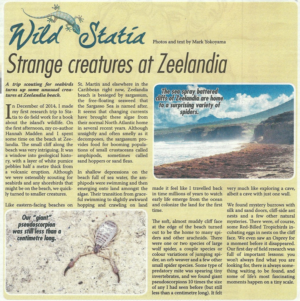 WildStatia-17012015-web