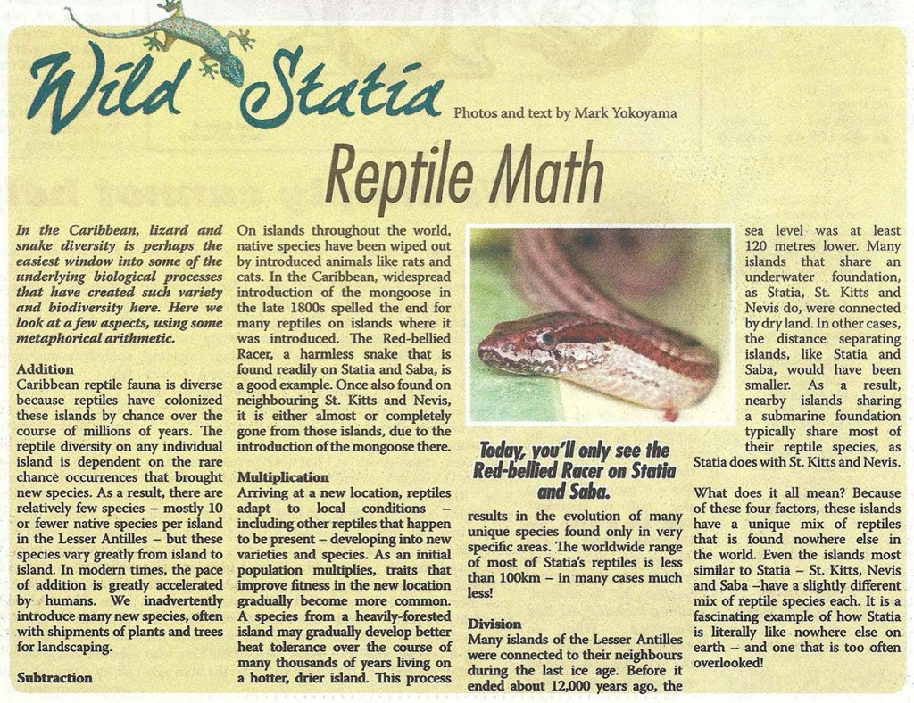 Wild-Statia---Reptile-Math-web