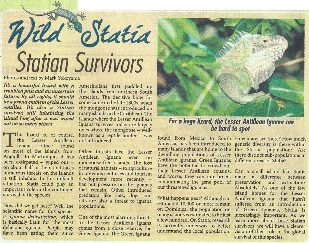 Wild-Statia-Statian-Survivors-web